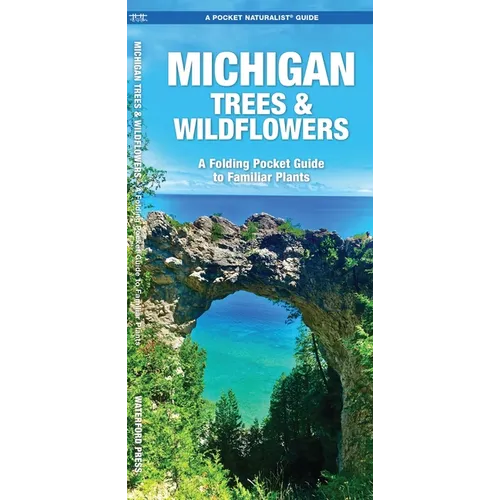 Michigan Trees & Wildflowers: An Introduction to Familiar Species - Paperback