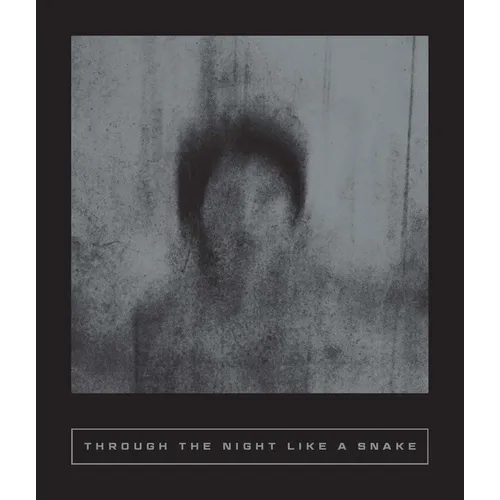 Through the Night Like a Snake: Latin American Horror Stories - Paperback
