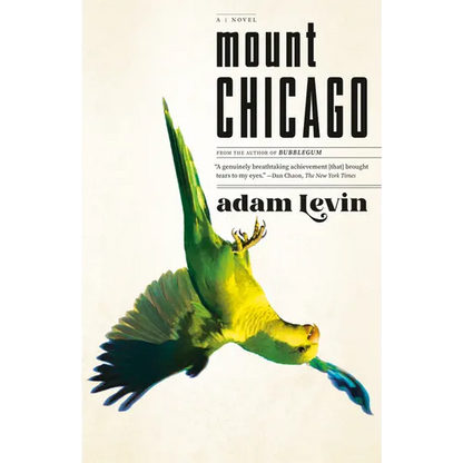 Mount Chicago - Paperback
