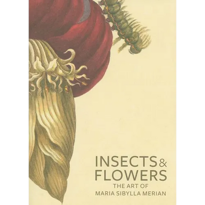 Insects and Flowers: The Art of Maria Sibylla Merian - Paperback