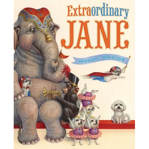 Extraordinary Jane - Hardcover