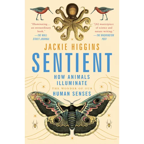 Sentient: How Animals Illuminate the Wonder of Our Human Senses - Paperback