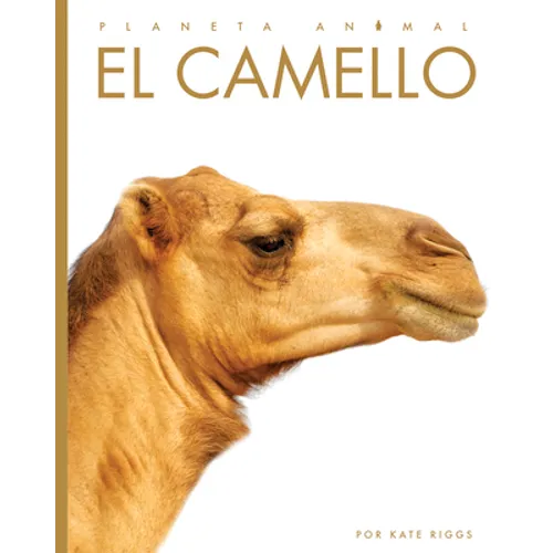 El Camello - Paperback