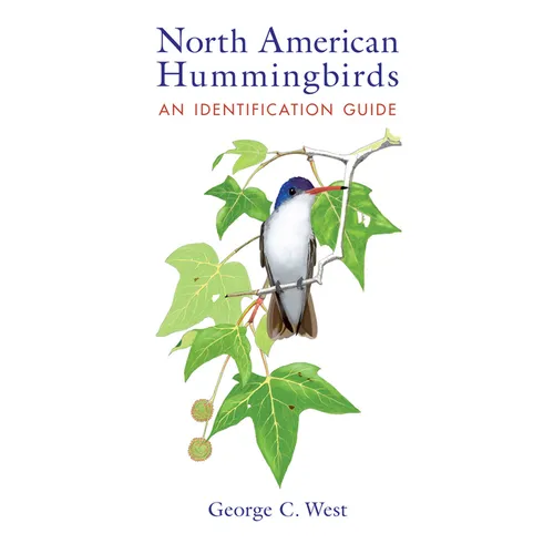 North American Hummingbirds: An Identification Guide - Paperback