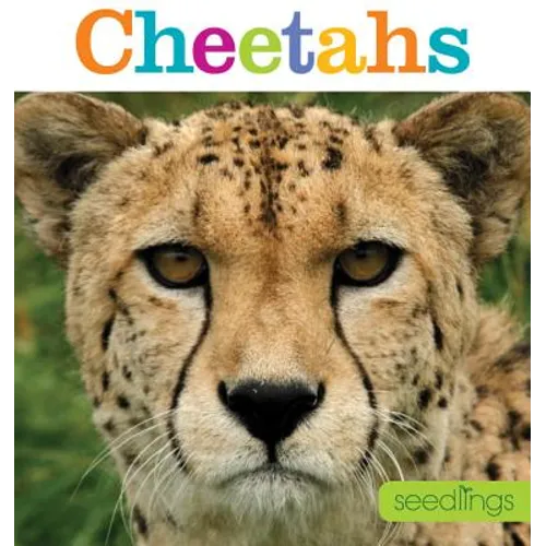Seedlings: Cheetahs - Paperback