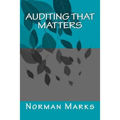 Auditing that matters - Paperback