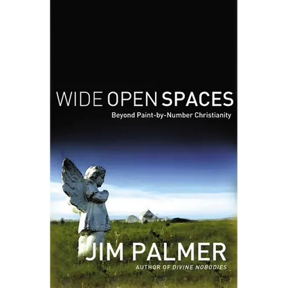 The Wide Open Spaces: Beyond Paint-By-Number Christianity - Paperback