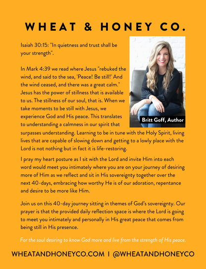 Life Less Hurried: 40 days of stillness for the soul desiring to live from the strength of His peace