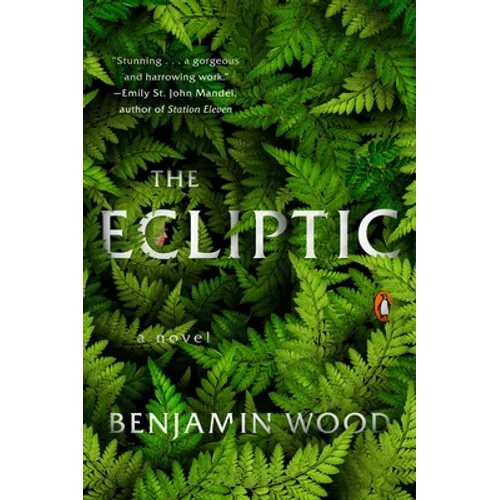 The Ecliptic - Paperback