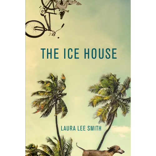The Ice House - Paperback