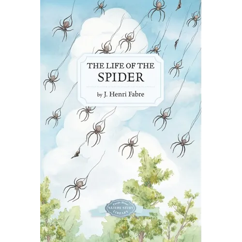 The Life of the Spider - Paperback