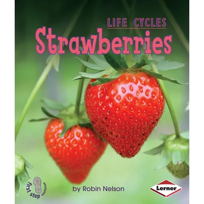 Strawberries - Paperback