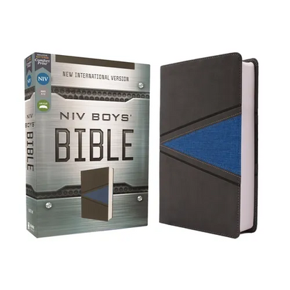 Niv, Boys Bible, Leathersoft, Gray/Blue, Comfort Print - Imitation Leather
