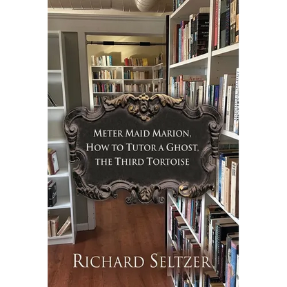Meter Maid Marion, How to Tutor a Ghost, The Third Tortoise - Paperback