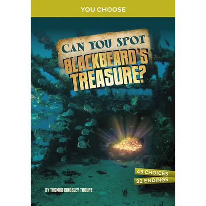 Can You Spot Blackbeard's Treasure?: An Interactive Treasure Adventure - Paperback