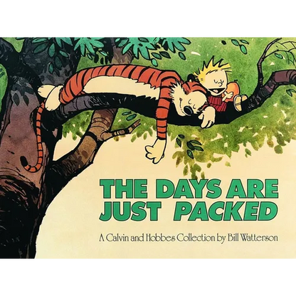 The Days Are Just Packed: A Calvin and Hobbes Collection Volume 9 - Paperback