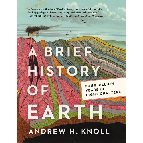A Brief History of Earth: Four Billion Years in Eight Chapters - Paperback