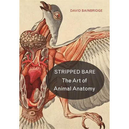 Stripped Bare: The Art of Animal Anatomy - Hardcover