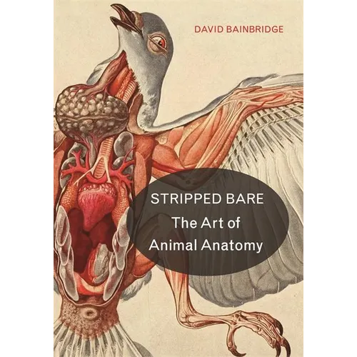 Stripped Bare: The Art of Animal Anatomy - Hardcover