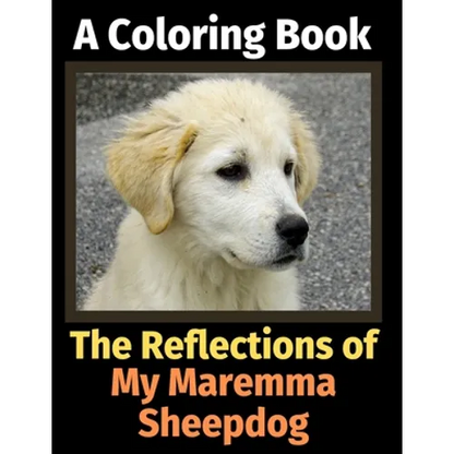 The Reflections of My Maremma Sheepdog: A Coloring Book - Paperback