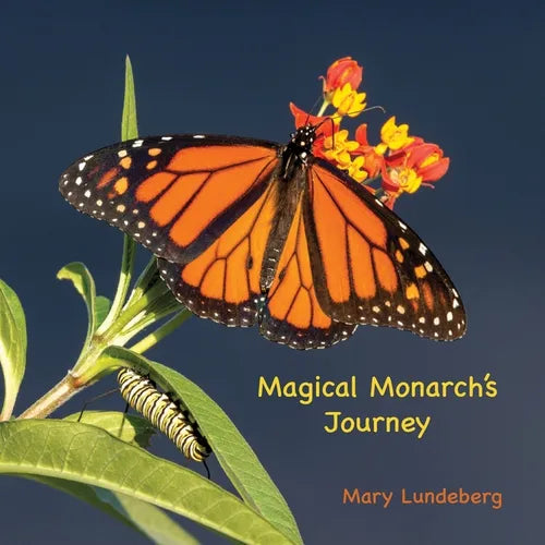Magical Monarch's Journey - Paperback