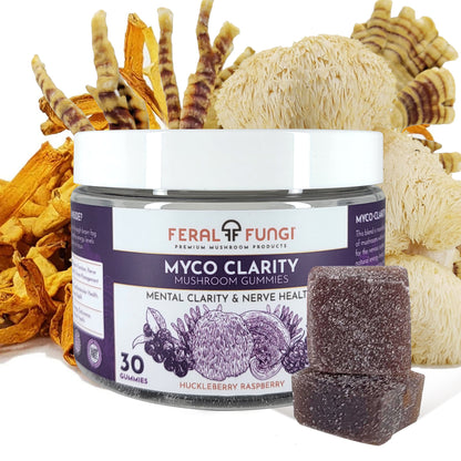 Myco-Clarity Mushroom Gummies