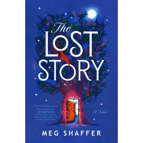 The Lost Story - Paperback
