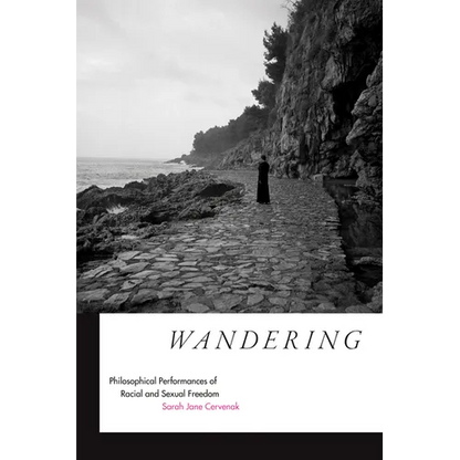 Wandering: Philosophical Performances of Racial and Sexual Freedom - Paperback