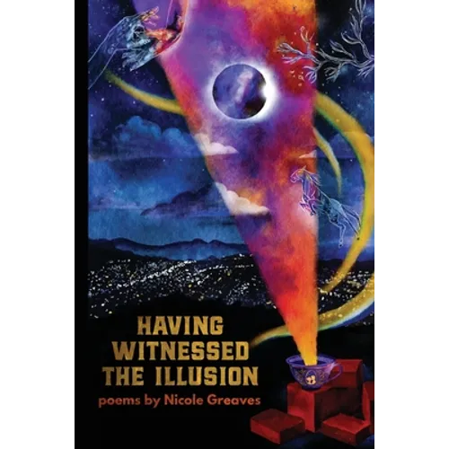 Having Witnessed the Illusion - Paperback