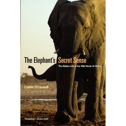 The Elephant's Secret Sense: The Hidden Life of the Wild Herds of Africa - Paperback