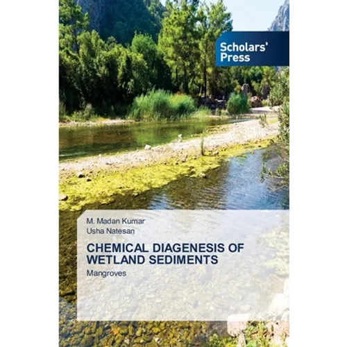 Chemical Diagenesis of Wetland Sediments - Paperback