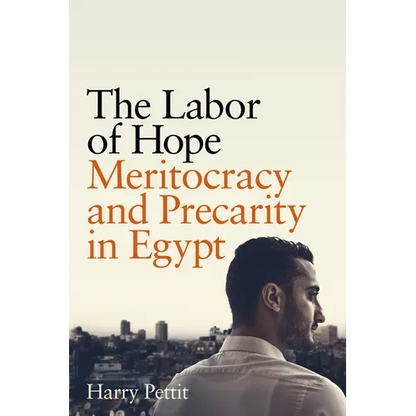 The Labor of Hope: Meritocracy and Precarity in Egypt - Paperback
