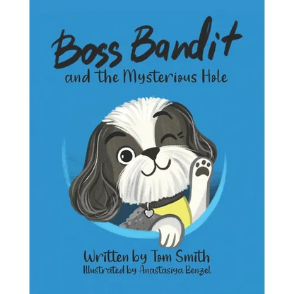 Boss Bandit and the Mysterious Hole - Paperback
