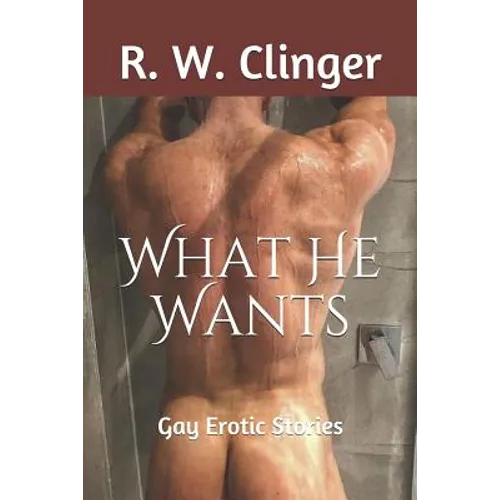 What He Wants: Gay Erotic Stories - Paperback