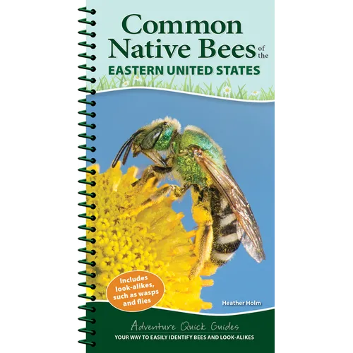 Common Native Bees of the Eastern United States: Your Way to Easily Identify Bees and Look-Alikes - Spiral