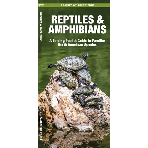 Reptiles & Amphibians: An Introduction to Familiar North American Species
