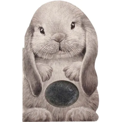 Furry Bunny - Board Book