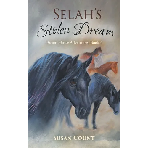 Selah's Stolen Dream - Hardcover