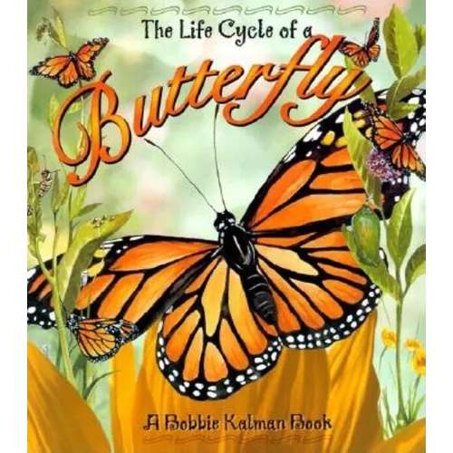 Butterfly - Paperback