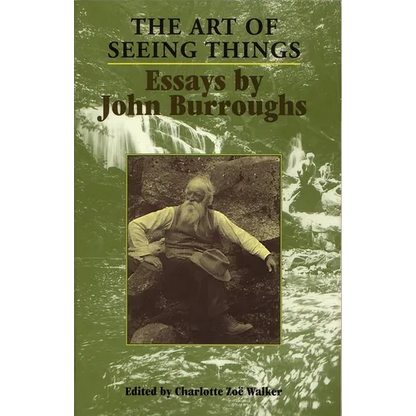 The Art of Seeing Things - Paperback
