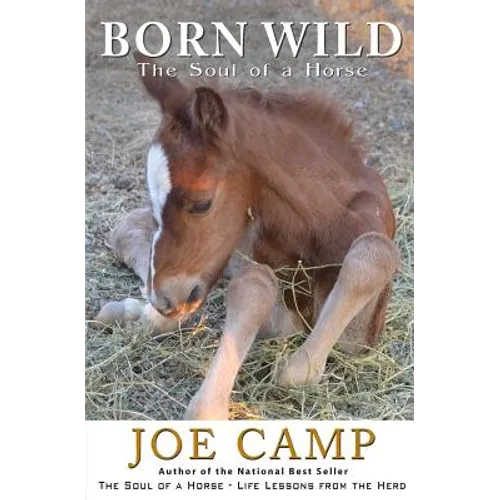 Born Wild - The Soul of a Horse - Paperback