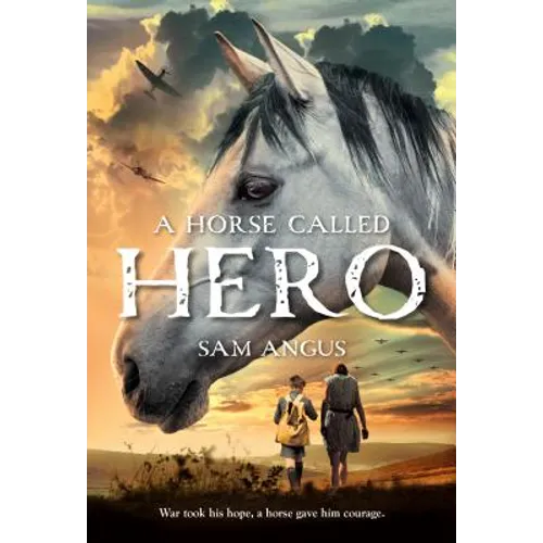 A Horse Called Hero - Paperback