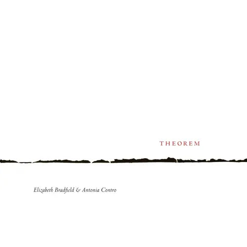 Theorem - Paperback