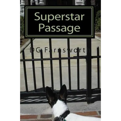Superstar Passage: The Reincarnation of Karen Carpenter - Paperback