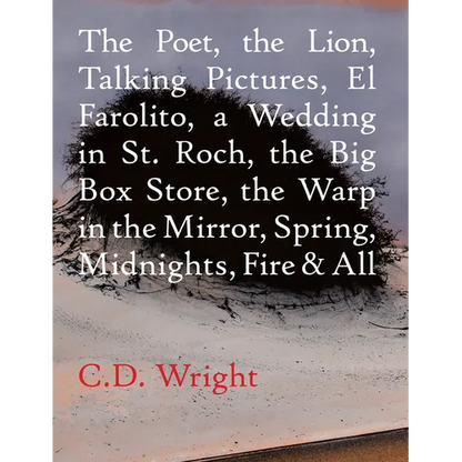 The Poet, the Lion, Talking Pictures, El Farolito, a Wedding in St. Roch, the Big Box Store, the Warp in the Mirror, Spring, Midnights, Fire & All - Paperback