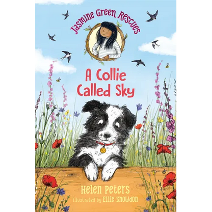 Jasmine Green Rescues: A Collie Called Sky - Hardcover