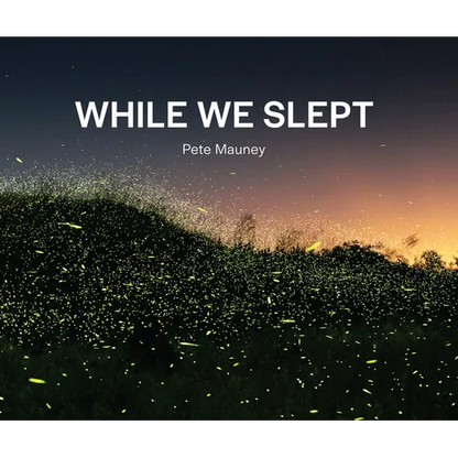 While We Slept - Paperback