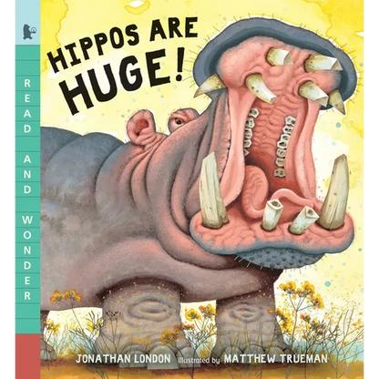 Hippos Are Huge!: Read and Wonder - Paperback