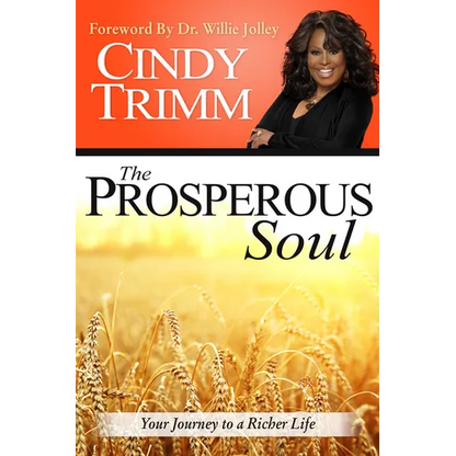 The Prosperous Soul: Your Journey to a Richer Life - Paperback