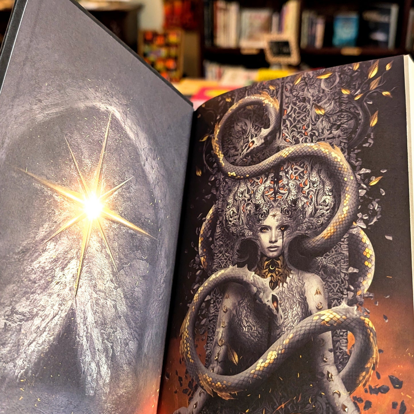 House of Flame and Shadow